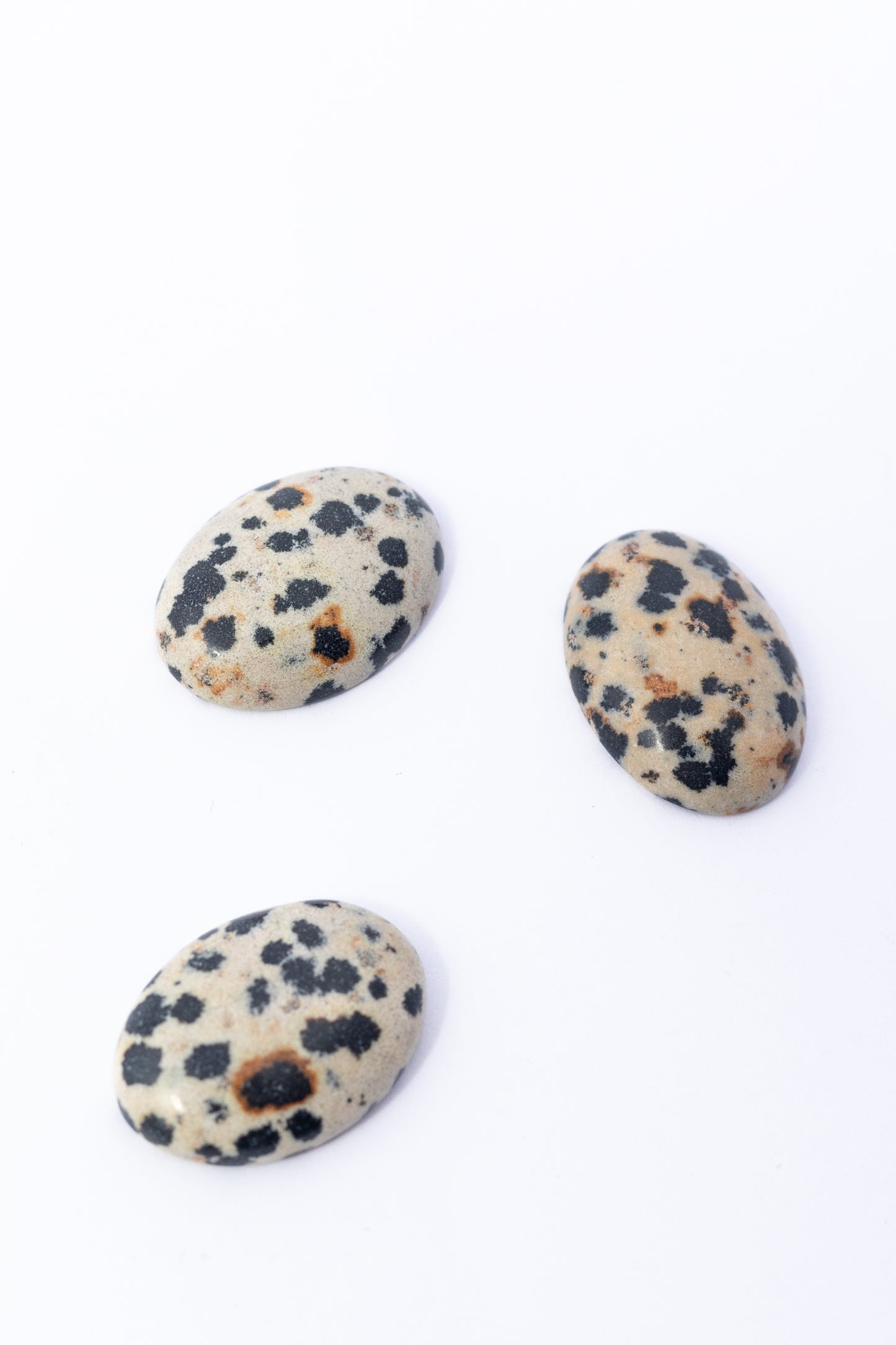 Cabujon de Jaspe Dalmata
