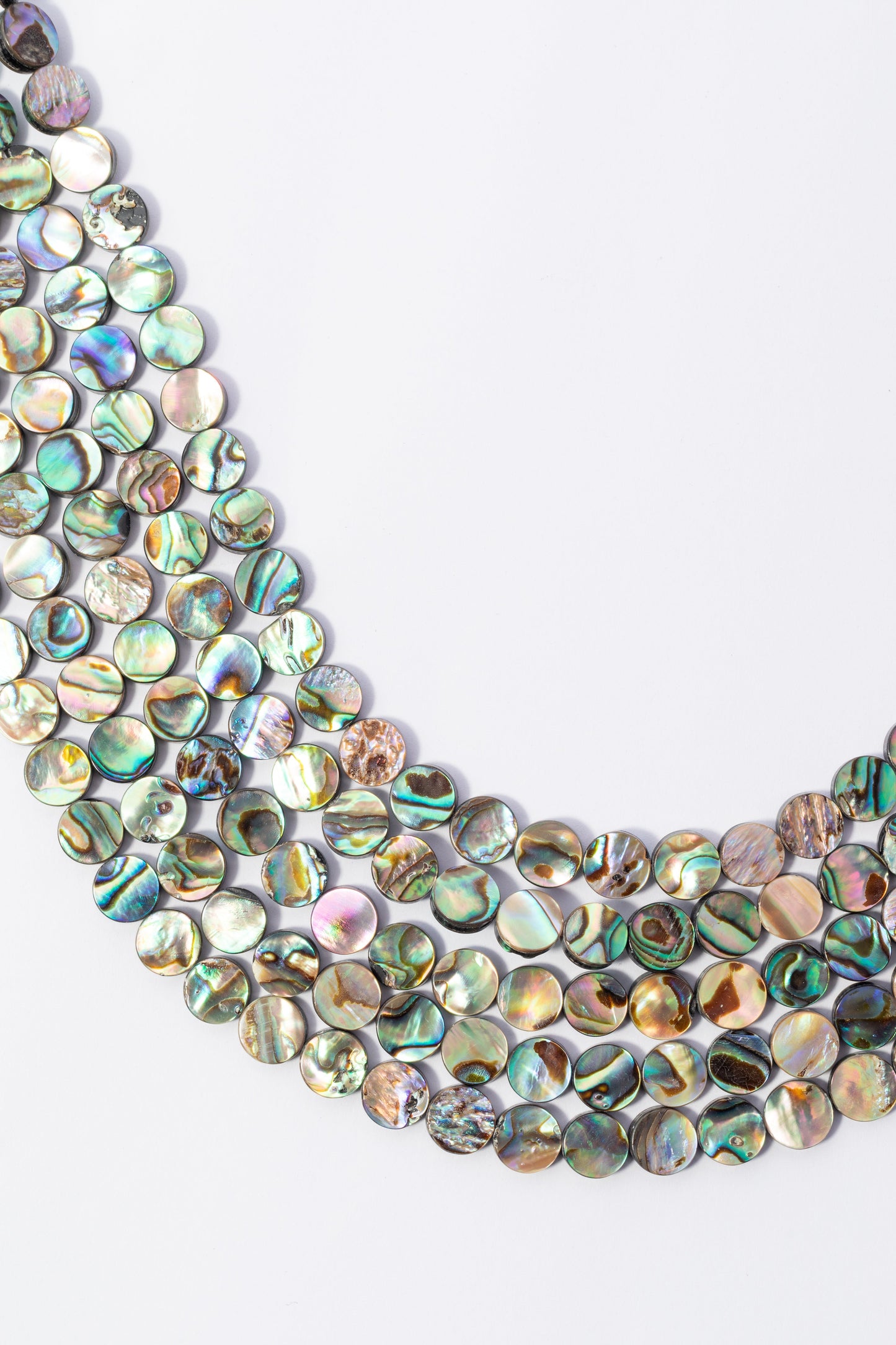 Hilo de Abulón Moneda