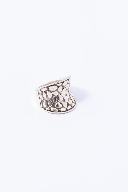Anillo de Plata