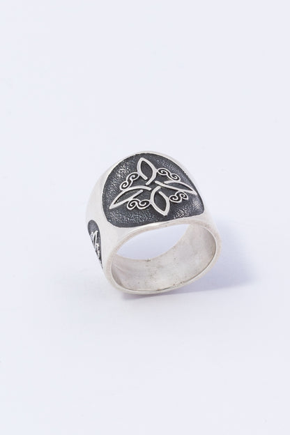 Anillo de Plata