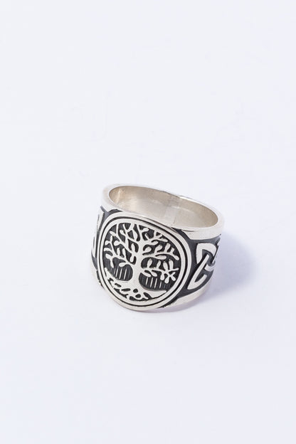 Anillo de Plata