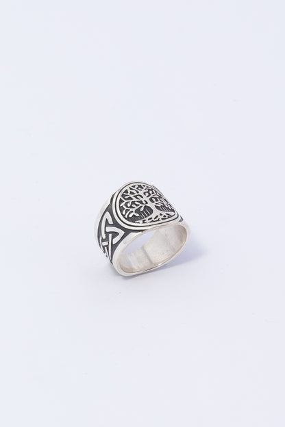 Anillo de Plata