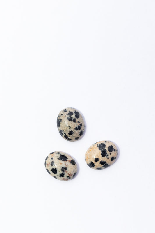 Cabujon de Jaspe Dalmata