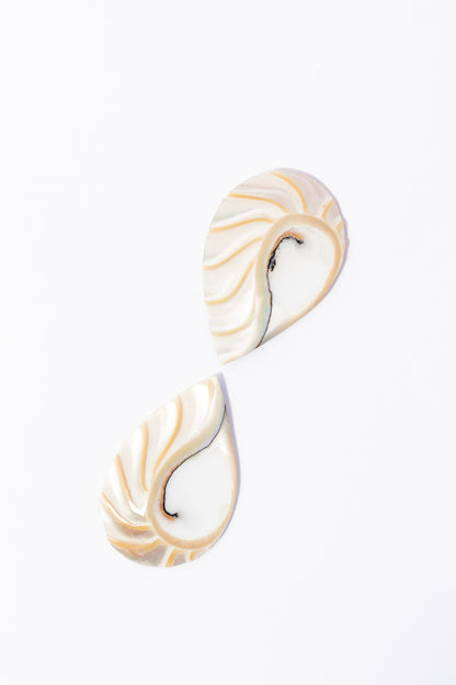 Cabujón de Nautilus Plano Por Par