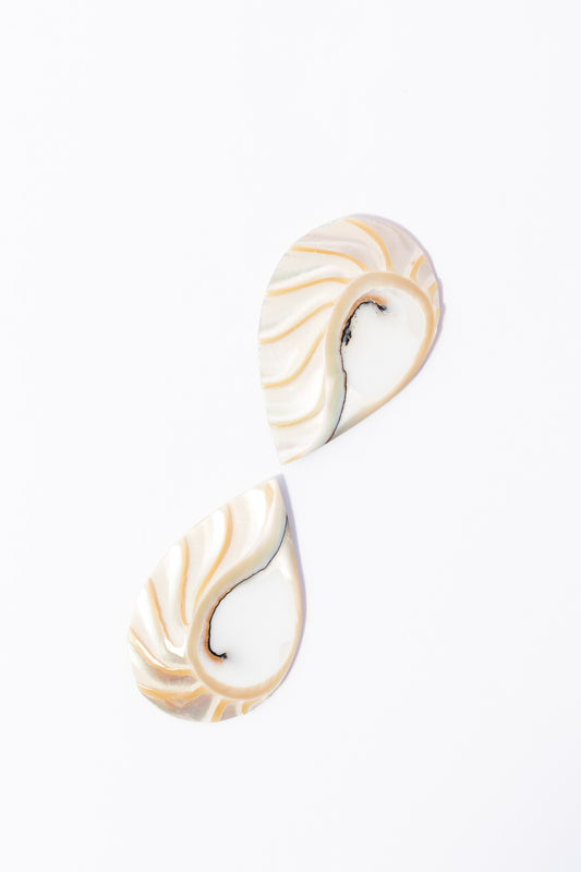 Cabujón de Nautilus Plano Por Par
