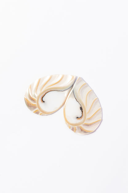Cabujón de Nautilus Plano Por Par