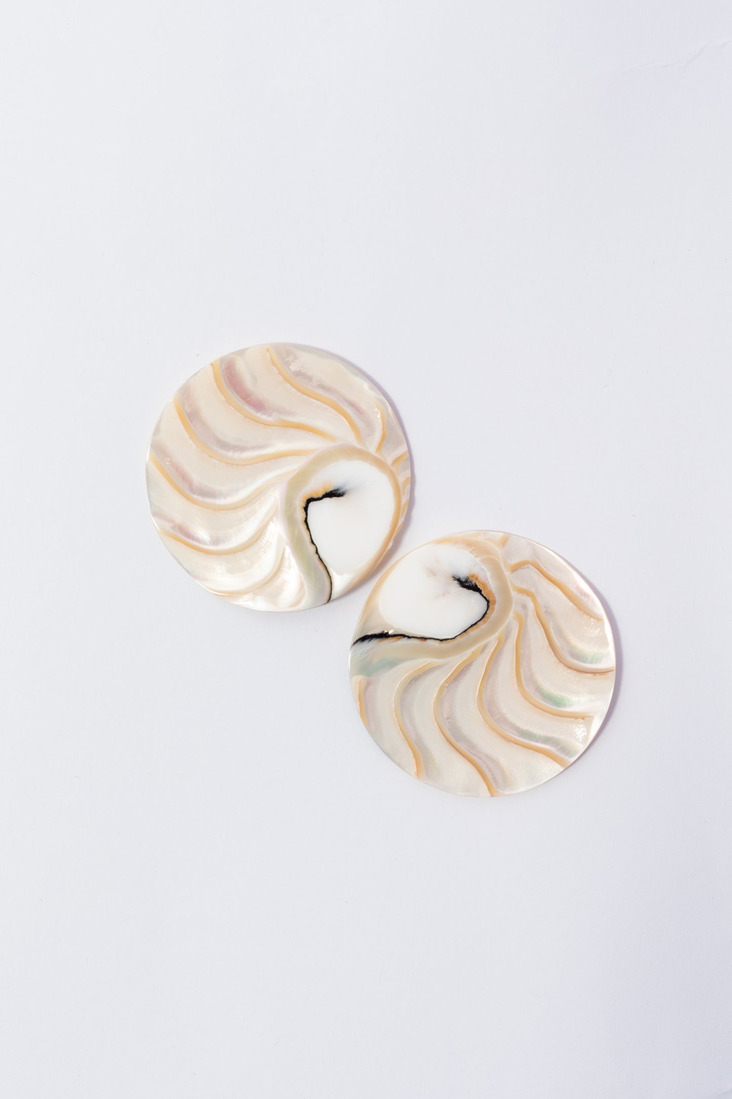 Cabujón de Nautilus Plano Por Par