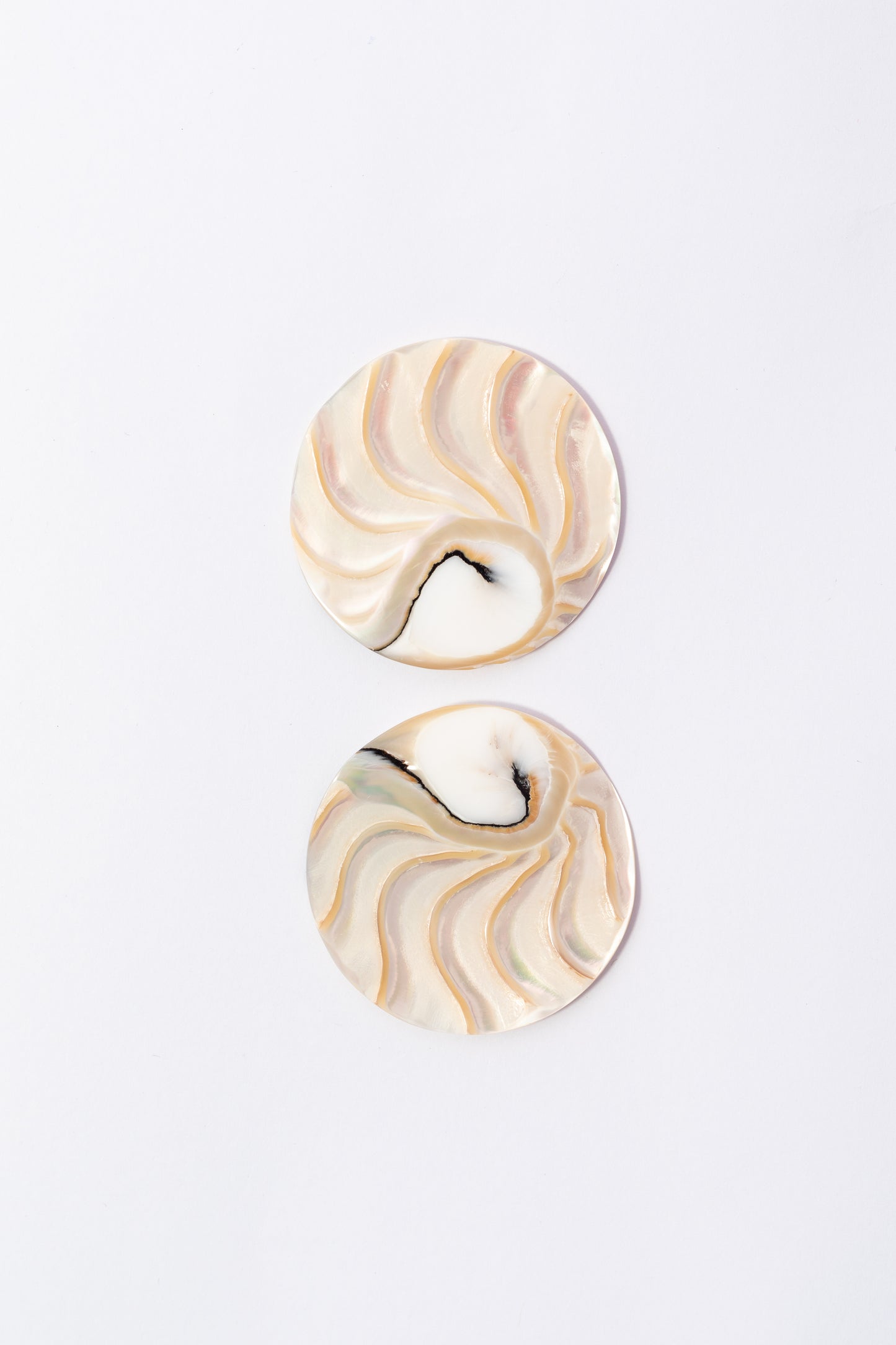 Cabujón de Nautilus Plano Por Par