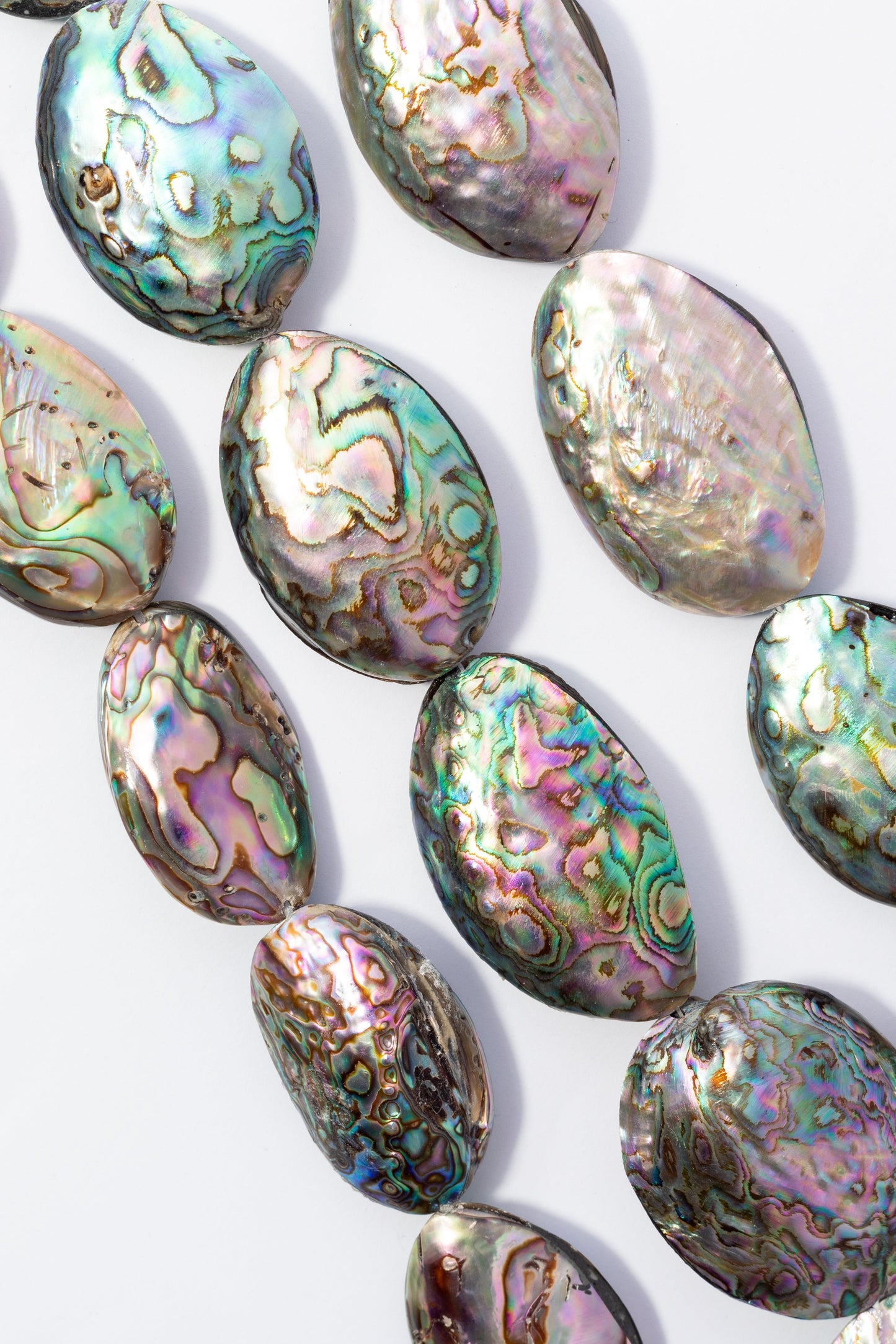 Hilo de Abulón Huevo