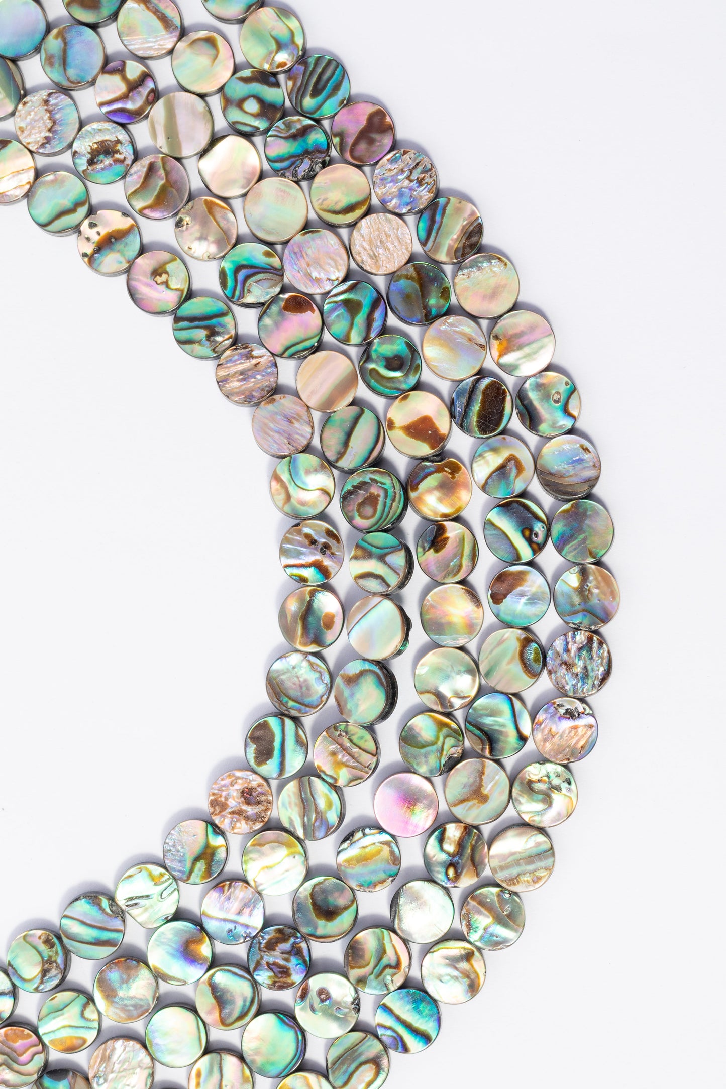 Hilo de Abulón Moneda