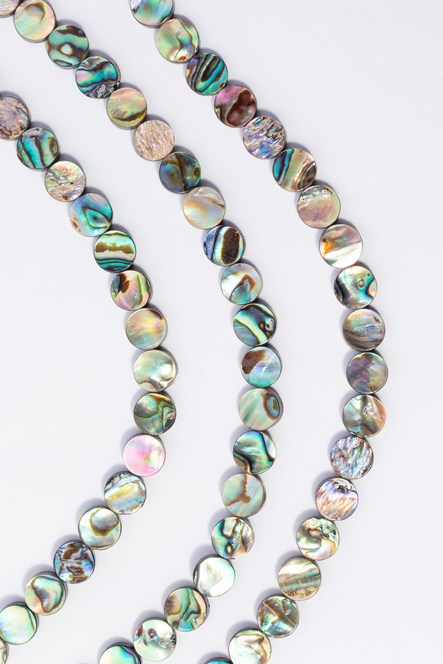 Hilo de Abulón Moneda