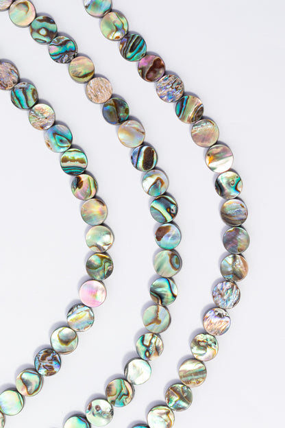 Hilo de Abulón Moneda